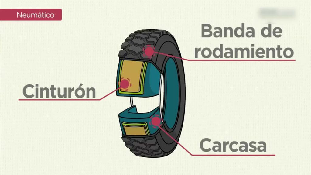 ¿Cuáles son los tres partes qué forma un neumático?